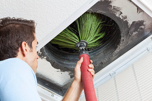 Best Emergency Air Duct Cleaning  in Newell, WV